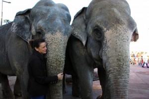 Stephanie di Monaco con gli elefanti di Flavio Togni al Festival di Montecarlo
