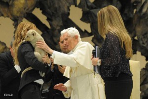 Una delle foto che ha fatto il giro del mondo: Benedetto XVI accarezza il leoncino nella Sala Nervi