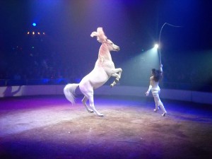 Il “debout” presentato da Ivette alla Fete Lilloise du Cirque