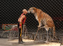 Aprile: “Animali nel circo, un diritto antico e inalienabile”