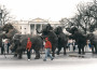 La marcia degli elefanti davanti al Campidoglio