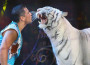 Fabrizio Medini precisa: “Non ho nulla contro il circo con animali”