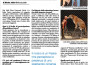 Buccioni al Giornale dello Spettacolo: “Il circo in Italia rischia l’esilio culturale”