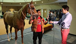 idol-intervista-cavalli