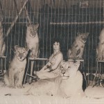 Rina coi suoi amici leoni