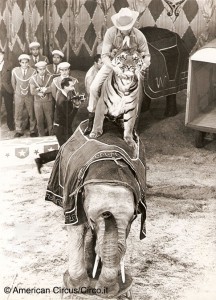 Gunther-Gebel Williams al circo Americano