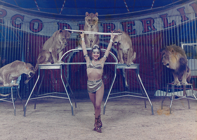 – Sito del mensile Circo Ente Nazionale Circhi » Vulcanica Gilda,  donna del circo