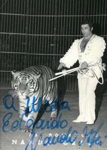 Nando Orfei con una delle sue tigri (foto fondo Meda/Archivio Cedac)