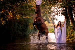 laura-magic-horse1